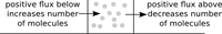 Diagram illustrating influence of flux of molecules above and below a region
