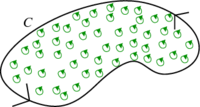 Macroscopic and microscopic circulation