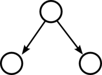 The divergent network motif